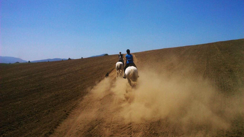מלון אירינובץ Ranch Terra מראה חיצוני תמונה